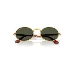 Kính mát Unisex RAY-BAN 0RB3931 001-31 Xanh Rêu - Ảnh 3