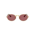 Kính mát Unisex RAY-BAN 0RB3931 001-AF Tím