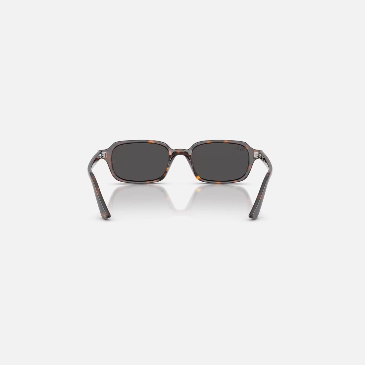 Kính Mát Unisex RayBan 0RB4455F-66777151 Đen Xanh Lá - Ảnh 3