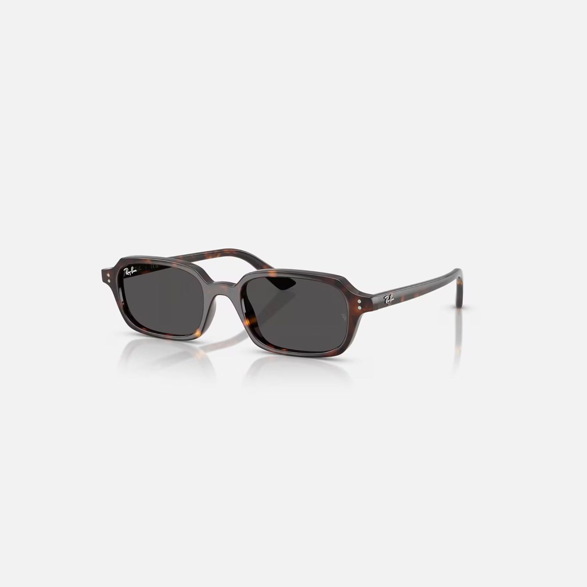 Kính Mát Unisex RayBan 0RB4455F-66777151 Đen Xanh Lá - Ảnh 6