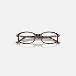 Gọng Kính Unisex Ray-Ban 0RX5432 2012 52 Đồi Mồi