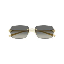 Kính mát Nữ GUCCI GG1703S 005 Đồi mồi