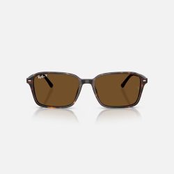 Kính Mát Unisex RayBan 0RB2231F-902/5756 Đồi Mồi -56 - Ảnh 4