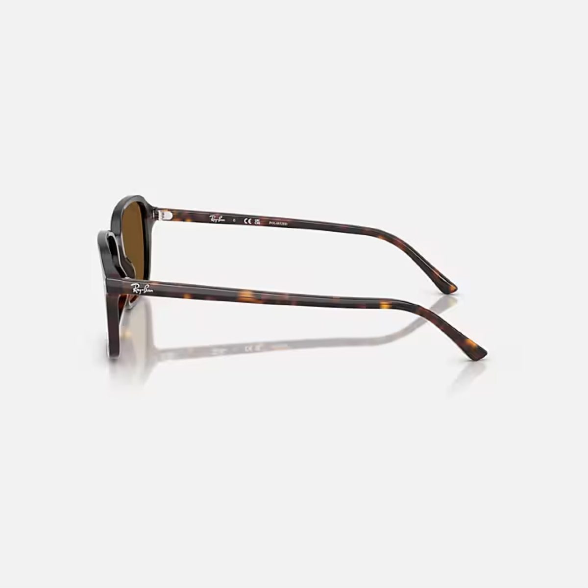 Kính Mát Unisex RayBan 0RB2231F-902/5756 Đồi Mồi -56 - Ảnh 5