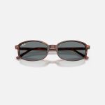 Kính Mát Unisex RayBan 0RB2232F-954/6254 Đồi Mồi -54